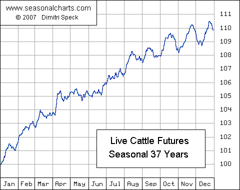 Live Cattle