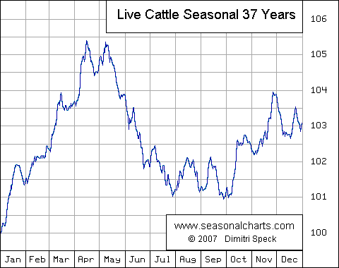 Live Cattle